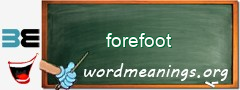 WordMeaning blackboard for forefoot